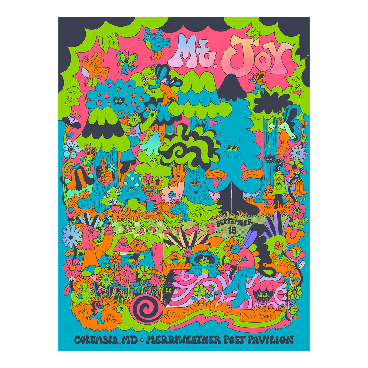 Mt. Joy Poster