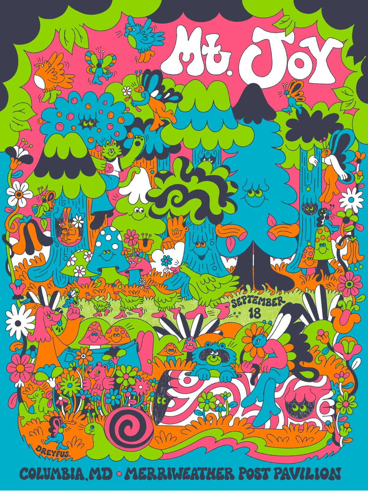 Mt. Joy Poster