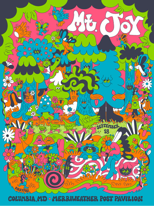 Mt. Joy Poster